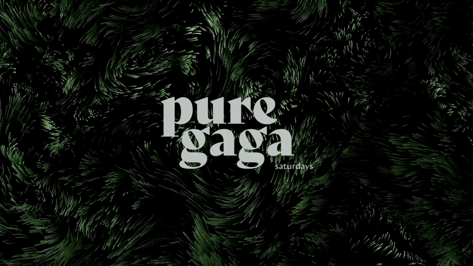 PURE GAGA \\\ 11_02