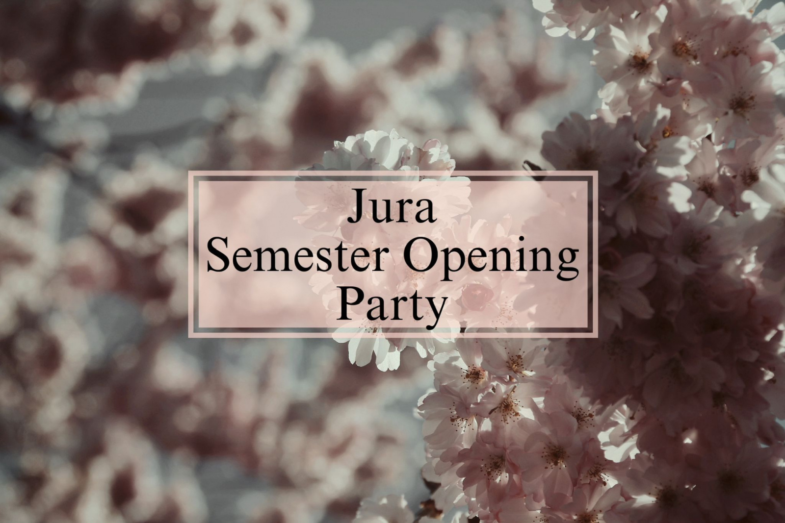 Jura Semester Opening