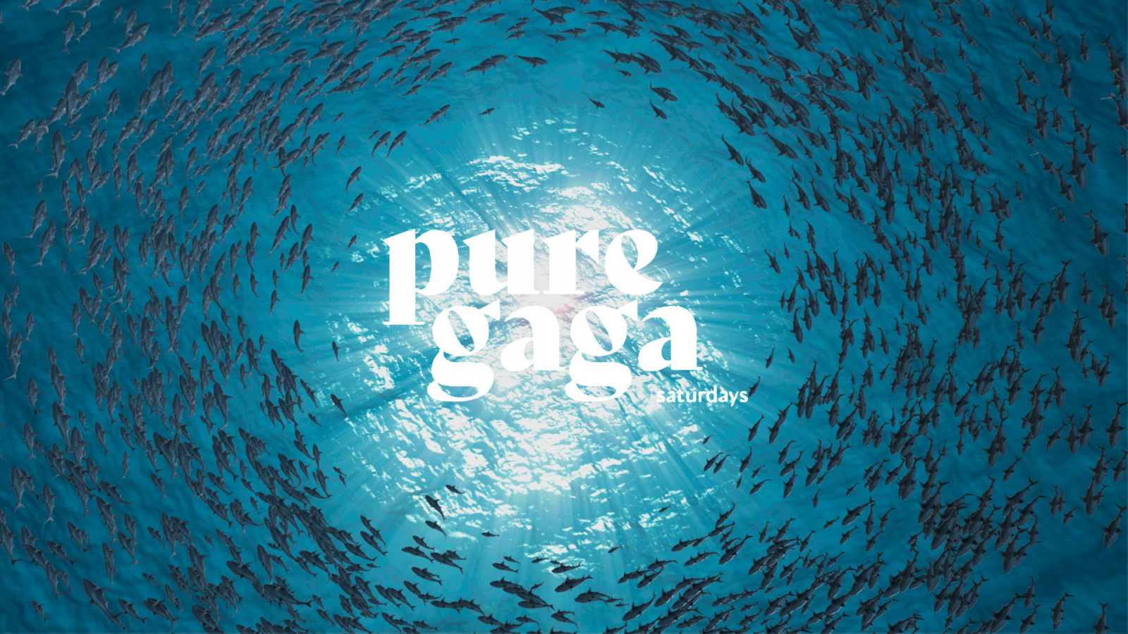 PURE GAGA \\\ 01_07